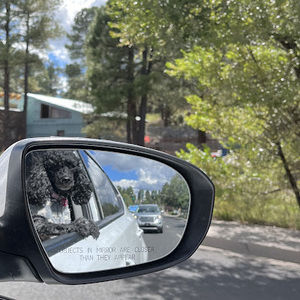 Meet your Posher, Dallas